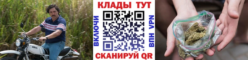 Где купить наркотики Усть-Илимск МАРИХУАНА Мефедрон Alpha PVP Гашиш