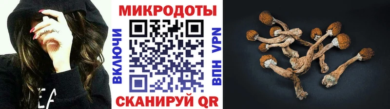 Псилоцибиновые грибы MAGIC MUSHROOMS  наркотики  Усть-Илимск 